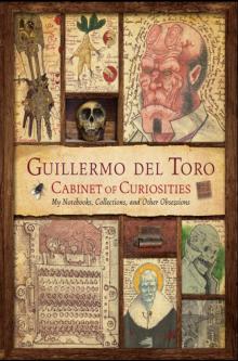      Cabinet of Curiosities