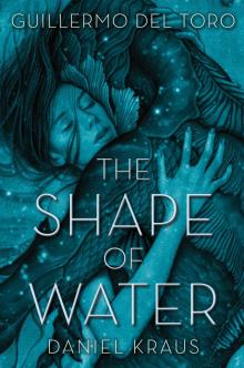      The Shape of Water