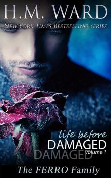      Life Before Damaged, Volume 1