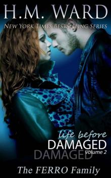      Life Before Damaged, Volume 2