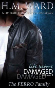      Life Before Damaged, Volume 3