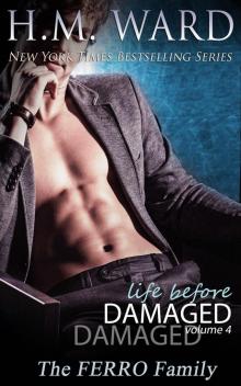      Life Before Damaged, Volume 4