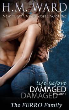      Life Before Damaged, Volume 5
