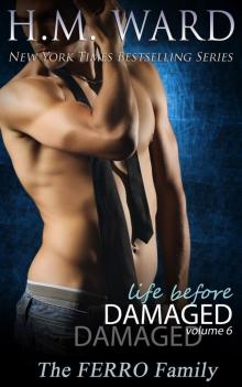      Life Before Damaged, Volume 6