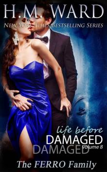     Life Before Damaged, Volume 8