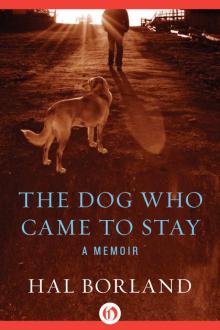      The Dog Who Came to Stay: A Memoir