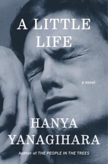      A Little Life