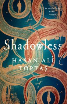      Shadowless