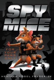     For Your Paws Only