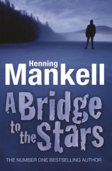      A Bridge to the Stars