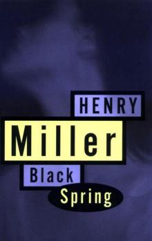      Black Spring