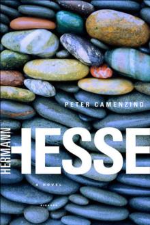      Peter Camenzind