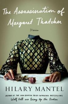      The Assassination of Margaret Thatcher: Stories