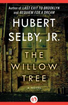     The Willow Tree: A Novel