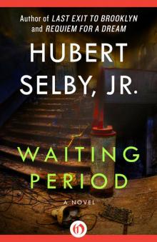      Waiting Period: A Novel