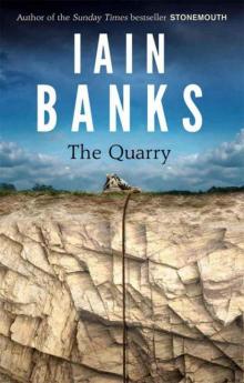      The Quarry