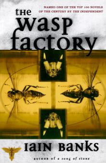      The Wasp Factory