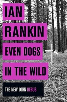      Even dogs in the wild