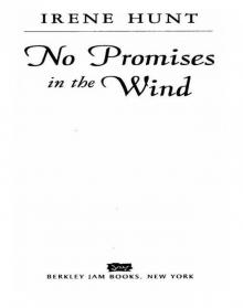      No Promises in the Wind