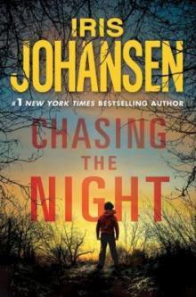      Chasing the Night