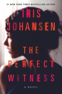      The Perfect Witness