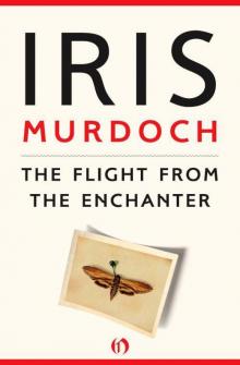      The Flight From the Enchanter