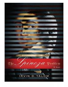      The Spinoza Problem