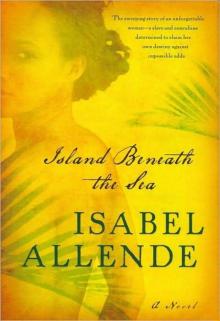      Island Beneath the Sea