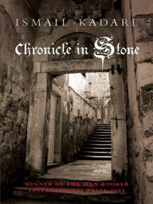      Chronicle in Stone