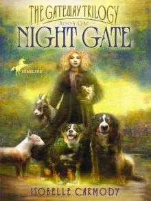      Night Gate