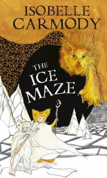     The Ice Maze