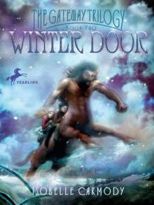      Winter Door