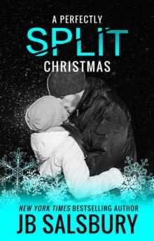      A Perfectly Split Christmas: A Split Short Story