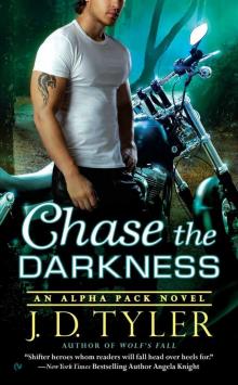      Chase the Darkness