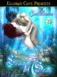      Dolphin's Playground