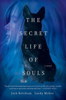      The Secret Life of Souls