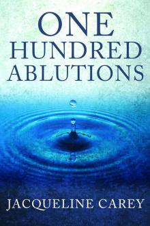      One Hundred Ablutions