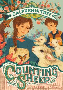      CV02. Counting Sheep