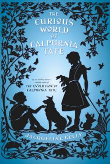      The Curious World of Calpurnia Tate
