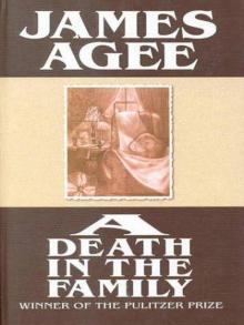      A Death in the Family