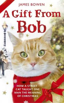      A Gift From Bob