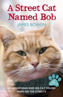      A Street Cat Named Bob