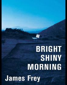     Bright Shiny Morning