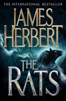      The Rats