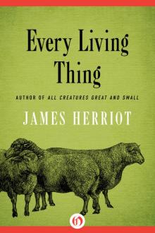      Every Living Thing