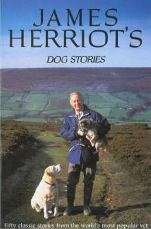      James Herriot's Dog Stories