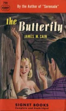      The Butterfly