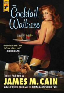     The Cocktail Waitress