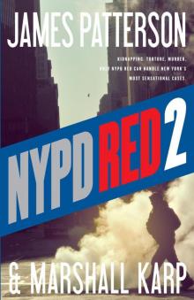      NYPD Red 2