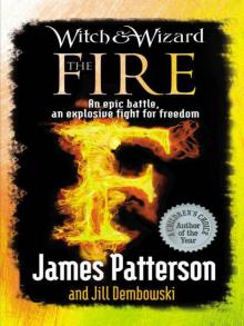      The Fire